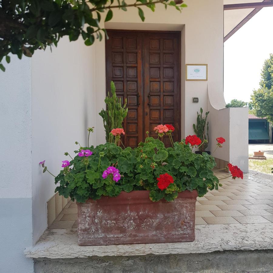 B & B Cedro Argentato Legnago Buitenkant foto